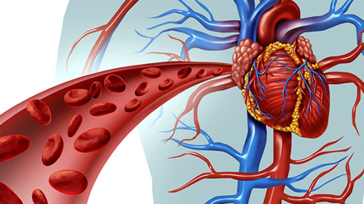 Vascular Surgery Image